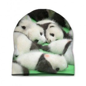 Шапка 3D с принтом Новорожденные панды в Курске, 100% полиэстер | универсальный размер, печать по всей поверхности изделия | Тематика изображения на принте: бамбук | животное | медведь