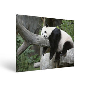 Холст прямоугольный с принтом Большая уставшая панда в Курске, 100% ПВХ |  | бамбук | животное | медведь