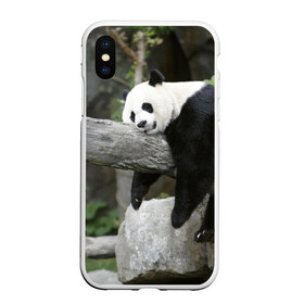 Чехол для iPhone XS Max матовый с принтом Большая уставшая панда в Курске, Силикон | Область печати: задняя сторона чехла, без боковых панелей | Тематика изображения на принте: бамбук | животное | медведь