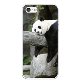Чехол для iPhone 5/5S матовый с принтом Большая уставшая панда в Курске, Силикон | Область печати: задняя сторона чехла, без боковых панелей | бамбук | животное | медведь