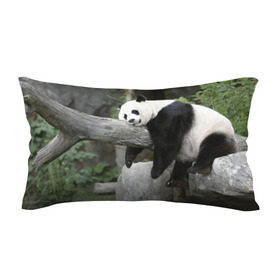 Подушка 3D антистресс с принтом Большая уставшая панда в Курске, наволочка — 100% полиэстер, наполнитель — вспененный полистирол | состоит из подушки и наволочки на молнии | бамбук | животное | медведь