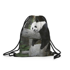 Рюкзак-мешок 3D с принтом Большая уставшая панда в Курске, 100% полиэстер | плотность ткани — 200 г/м2, размер — 35 х 45 см; лямки — толстые шнурки, застежка на шнуровке, без карманов и подкладки | бамбук | животное | медведь