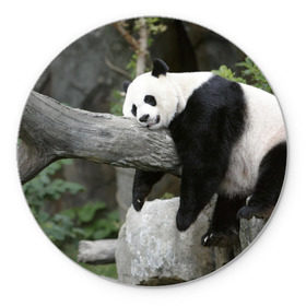 Коврик круглый с принтом Большая уставшая панда в Курске, резина и полиэстер | круглая форма, изображение наносится на всю лицевую часть | бамбук | животное | медведь
