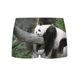 Мужские трусы 3D с принтом Большая уставшая панда в Курске, 50% хлопок, 50% полиэстер | классическая посадка, на поясе мягкая тканевая резинка | Тематика изображения на принте: бамбук | животное | медведь
