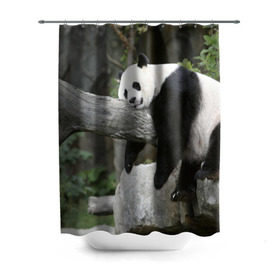 Штора 3D для ванной с принтом Большая уставшая панда в Курске, 100% полиэстер | плотность материала — 100 г/м2. Стандартный размер — 146 см х 180 см. По верхнему краю — пластиковые люверсы для креплений. В комплекте 10 пластиковых колец | бамбук | животное | медведь