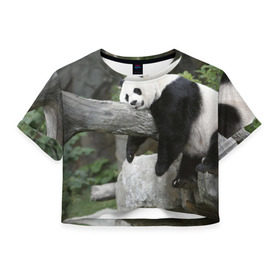 Женская футболка 3D укороченная с принтом Большая уставшая панда в Курске, 100% полиэстер | круглая горловина, длина футболки до линии талии, рукава с отворотами | бамбук | животное | медведь