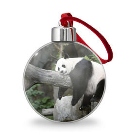 Ёлочный шар с принтом Большая уставшая панда в Курске, Пластик | Диаметр: 77 мм | бамбук | животное | медведь