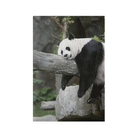 Обложка для паспорта матовая кожа с принтом Большая уставшая панда в Курске, натуральная матовая кожа | размер 19,3 х 13,7 см; прозрачные пластиковые крепления | бамбук | животное | медведь