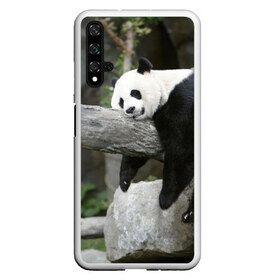 Чехол для Honor 20 с принтом Большая уставшая панда в Курске, Силикон | Область печати: задняя сторона чехла, без боковых панелей | бамбук | животное | медведь