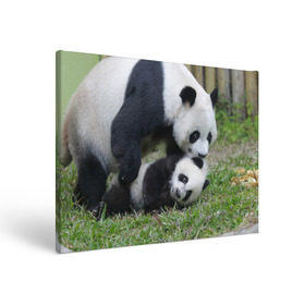 Холст прямоугольный с принтом Мамочка и сыночек панды в Курске, 100% ПВХ |  | бамбук | животное | медведь