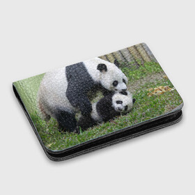 Картхолдер с принтом с принтом Мамочка и сыночек панды в Курске, натуральная матовая кожа | размер 7,3 х 10 см; кардхолдер имеет 4 кармана для карт; | Тематика изображения на принте: бамбук | животное | медведь