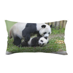 Подушка 3D антистресс с принтом Мамочка и сыночек панды в Курске, наволочка — 100% полиэстер, наполнитель — вспененный полистирол | состоит из подушки и наволочки на молнии | бамбук | животное | медведь
