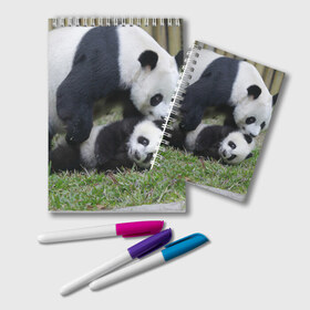 Блокнот с принтом Мамочка и сыночек панды в Курске, 100% бумага | 48 листов, плотность листов — 60 г/м2, плотность картонной обложки — 250 г/м2. Листы скреплены удобной пружинной спиралью. Цвет линий — светло-серый
 | бамбук | животное | медведь
