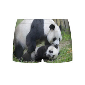 Мужские трусы 3D с принтом Мамочка и сыночек панды в Курске, 50% хлопок, 50% полиэстер | классическая посадка, на поясе мягкая тканевая резинка | Тематика изображения на принте: бамбук | животное | медведь