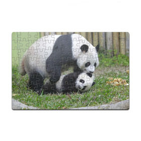 Пазл магнитный 126 элементов с принтом Мамочка и сыночек панды в Курске, полимерный материал с магнитным слоем | 126 деталей, размер изделия —  180*270 мм | бамбук | животное | медведь