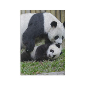 Обложка для паспорта матовая кожа с принтом Мамочка и сыночек панды в Курске, натуральная матовая кожа | размер 19,3 х 13,7 см; прозрачные пластиковые крепления | Тематика изображения на принте: бамбук | животное | медведь