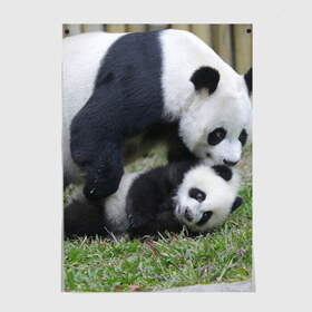Постер с принтом Мамочка и сыночек панды в Курске, 100% бумага
 | бумага, плотность 150 мг. Матовая, но за счет высокого коэффициента гладкости имеет небольшой блеск и дает на свету блики, но в отличии от глянцевой бумаги не покрыта лаком | бамбук | животное | медведь