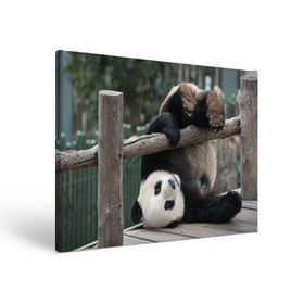 Холст прямоугольный с принтом Паркур панда в Курске, 100% ПВХ |  | Тематика изображения на принте: бамбук | животное | медведь