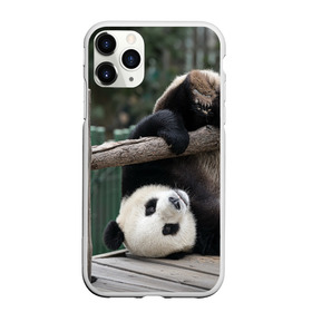 Чехол для iPhone 11 Pro Max матовый с принтом Паркур панда в Курске, Силикон |  | бамбук | животное | медведь