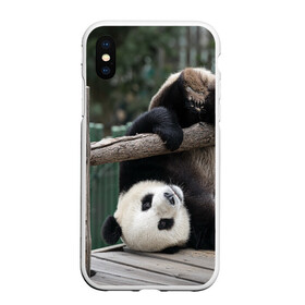 Чехол для iPhone XS Max матовый с принтом Паркур панда в Курске, Силикон | Область печати: задняя сторона чехла, без боковых панелей | Тематика изображения на принте: бамбук | животное | медведь
