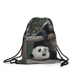 Рюкзак-мешок 3D с принтом Паркур панда в Курске, 100% полиэстер | плотность ткани — 200 г/м2, размер — 35 х 45 см; лямки — толстые шнурки, застежка на шнуровке, без карманов и подкладки | бамбук | животное | медведь