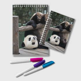 Блокнот с принтом Паркур панда в Курске, 100% бумага | 48 листов, плотность листов — 60 г/м2, плотность картонной обложки — 250 г/м2. Листы скреплены удобной пружинной спиралью. Цвет линий — светло-серый
 | бамбук | животное | медведь
