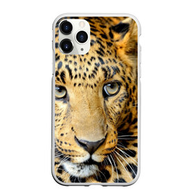 Чехол для iPhone 11 Pro матовый с принтом Леопард в Курске, Силикон |  | властелин | глаз | грация | животные | зверь | кот | кошачий | кошки | крупный | леопард | лес | млекопитающее | природа | пятна | рыжий | усатый | усы | фауна | флора | хищник | хозяин | царь джунгли