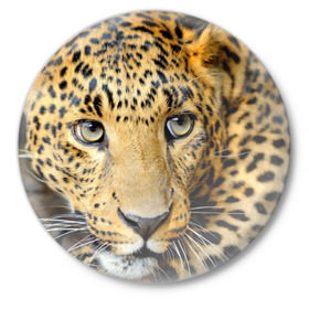 Значок с принтом Леопард в Курске,  металл | круглая форма, металлическая застежка в виде булавки | властелин | глаз | грация | животные | зверь | кот | кошачий | кошки | крупный | леопард | лес | млекопитающее | природа | пятна | рыжий | усатый | усы | фауна | флора | хищник | хозяин | царь джунгли