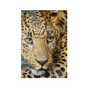 Обложка для паспорта матовая кожа с принтом Леопард в Курске, натуральная матовая кожа | размер 19,3 х 13,7 см; прозрачные пластиковые крепления | властелин | глаз | грация | животные | зверь | кот | кошачий | кошки | крупный | леопард | лес | млекопитающее | природа | пятна | рыжий | усатый | усы | фауна | флора | хищник | хозяин | царь джунгли