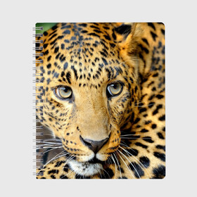 Тетрадь с принтом Леопард в Курске, 100% бумага | 48 листов, плотность листов — 60 г/м2, плотность картонной обложки — 250 г/м2. Листы скреплены сбоку удобной пружинной спиралью. Уголки страниц и обложки скругленные. Цвет линий — светло-серый
 | властелин | глаз | грация | животные | зверь | кот | кошачий | кошки | крупный | леопард | лес | млекопитающее | природа | пятна | рыжий | усатый | усы | фауна | флора | хищник | хозяин | царь джунгли