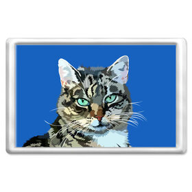 Магнит 45*70 с принтом Котэ в Курске, Пластик | Размер: 78*52 мм; Размер печати: 70*45 | cat | взгляд | глаза | животные | киска | кот | котёнок | кошка