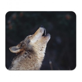 Коврик прямоугольный с принтом Вой серого волка в Курске, натуральный каучук | размер 230 х 185 мм; запечатка лицевой стороны | серый