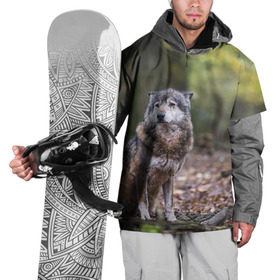 Накидка на куртку 3D с принтом Серый волк в Курске, 100% полиэстер |  | бирюк | волк | волчара | волчица | волчок | глаза | животное | животные | зверь | зеленые | койот | лес | млекопитающее | природа | санитар леса | серый | уши | фауна | хищник | черный | шакал