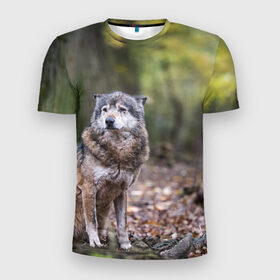 Мужская футболка 3D спортивная с принтом Серый волк в Курске, 100% полиэстер с улучшенными характеристиками | приталенный силуэт, круглая горловина, широкие плечи, сужается к линии бедра | Тематика изображения на принте: бирюк | волк | волчара | волчица | волчок | глаза | животное | животные | зверь | зеленые | койот | лес | млекопитающее | природа | санитар леса | серый | уши | фауна | хищник | черный | шакал
