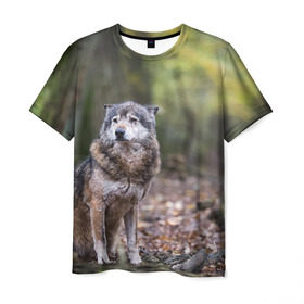 Мужская футболка 3D с принтом Серый волк в Курске, 100% полиэфир | прямой крой, круглый вырез горловины, длина до линии бедер | бирюк | волк | волчара | волчица | волчок | глаза | животное | животные | зверь | зеленые | койот | лес | млекопитающее | природа | санитар леса | серый | уши | фауна | хищник | черный | шакал
