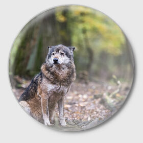 Значок с принтом Серый волк в Курске,  металл | круглая форма, металлическая застежка в виде булавки | бирюк | волк | волчара | волчица | волчок | глаза | животное | животные | зверь | зеленые | койот | лес | млекопитающее | природа | санитар леса | серый | уши | фауна | хищник | черный | шакал
