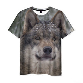 Мужская футболка 3D с принтом Серый волк в Курске, 100% полиэфир | прямой крой, круглый вырез горловины, длина до линии бедер | бирюк | волк | волчара | волчица | волчок | глаза | животное | животные | зверь | зеленые | койот | лес | млекопитающее | природа | санитар леса | серый | уши | фауна | хищник | черный | шакал