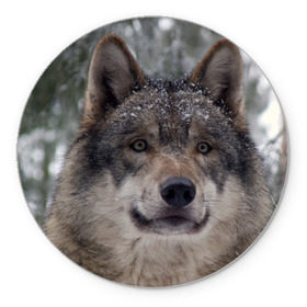 Коврик круглый с принтом Серый волк в Курске, резина и полиэстер | круглая форма, изображение наносится на всю лицевую часть | Тематика изображения на принте: бирюк | волк | волчара | волчица | волчок | глаза | животное | животные | зверь | зеленые | койот | лес | млекопитающее | природа | санитар леса | серый | уши | фауна | хищник | черный | шакал