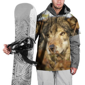 Накидка на куртку 3D с принтом Волк в Курске, 100% полиэстер |  | бирюк | волк | волчара | волчица | волчок | глаза | животное | животные | зверь | зеленые | койот | лес | млекопитающее | природа | санитар леса | серый | уши | фауна | хищник | черный | шакал