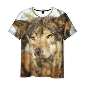 Мужская футболка 3D с принтом Волк в Курске, 100% полиэфир | прямой крой, круглый вырез горловины, длина до линии бедер | бирюк | волк | волчара | волчица | волчок | глаза | животное | животные | зверь | зеленые | койот | лес | млекопитающее | природа | санитар леса | серый | уши | фауна | хищник | черный | шакал