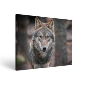Холст прямоугольный с принтом Волк - санитар леса в Курске, 100% ПВХ |  | Тематика изображения на принте: серый