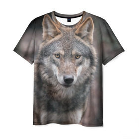 Мужская футболка 3D с принтом Волк - санитар леса в Курске, 100% полиэфир | прямой крой, круглый вырез горловины, длина до линии бедер | Тематика изображения на принте: серый