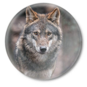 Значок с принтом Волк - санитар леса в Курске,  металл | круглая форма, металлическая застежка в виде булавки | Тематика изображения на принте: серый