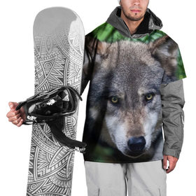 Накидка на куртку 3D с принтом Хищник в Курске, 100% полиэстер |  | аука | бирюк | волк | волчара | волчица | волчок | глаза | животное | животные | зверь | зеленые | койот | лес | млекопитающее | природа | санитар леса | серый | уши | фауна | хищник | черный | шакал