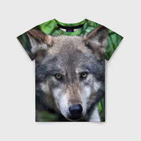 Детская футболка 3D с принтом Хищник в Курске, 100% гипоаллергенный полиэфир | прямой крой, круглый вырез горловины, длина до линии бедер, чуть спущенное плечо, ткань немного тянется | аука | бирюк | волк | волчара | волчица | волчок | глаза | животное | животные | зверь | зеленые | койот | лес | млекопитающее | природа | санитар леса | серый | уши | фауна | хищник | черный | шакал