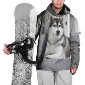Накидка на куртку 3D с принтом Волчья парода в Курске, 100% полиэстер |  | аука | бирюк | волк | волчара | волчица | волчок | город | животное | животные | зверь | койот | лес | млекопитающее | парода | санитар леса | серый | собака | уши | фауна | хищник | черный | шакал