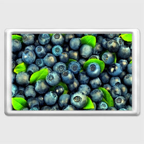 Магнит 45*70 с принтом Голубика в Курске, Пластик | Размер: 78*52 мм; Размер печати: 70*45 | blueberry | голубика | черника | ягоды