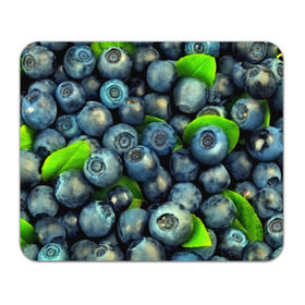Коврик прямоугольный с принтом Голубика в Курске, натуральный каучук | размер 230 х 185 мм; запечатка лицевой стороны | Тематика изображения на принте: blueberry | голубика | черника | ягоды