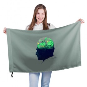 Флаг 3D с принтом Голова горшок в Курске, 100% полиэстер | плотность ткани — 95 г/м2, размер — 67 х 109 см. Принт наносится с одной стороны | голова | горшок | колба | стекло | цветок | человек