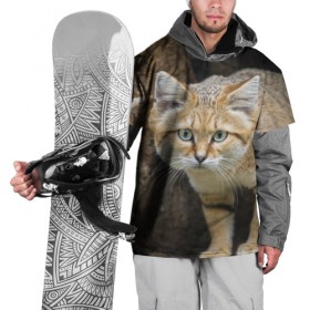 Накидка на куртку 3D с принтом Песчаный кот в Курске, 100% полиэстер |  | Тематика изображения на принте: грустный | добрый | животное | киса | киска кися | кот | котенок | котэ | кошка | красивый | лапа | лапка | ласковый | милый | моська | мурлыка | прикольный | смешной | унылый | усатый | шерсть